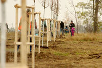 Podpora zeleně_v_krajině_medium