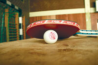 Stolni tenis_Pixabay