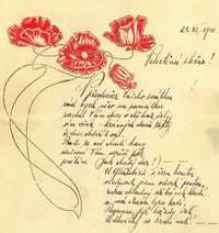 S20C-423052508010 web