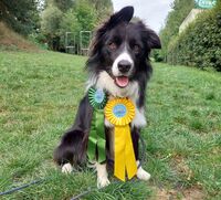 20230830 174509_copy