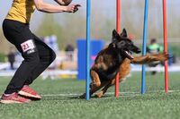 344348918 243910591548651_1005260516272153570_n_1