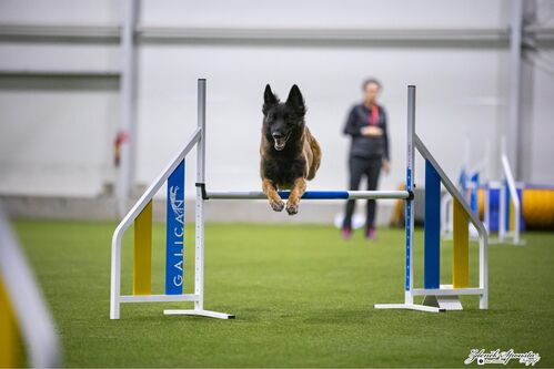 5cba2339-ce72-40ba-85d4-277b35786e4b