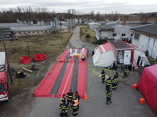 WhatsApp Image_2024-02-08_at_10.31.08