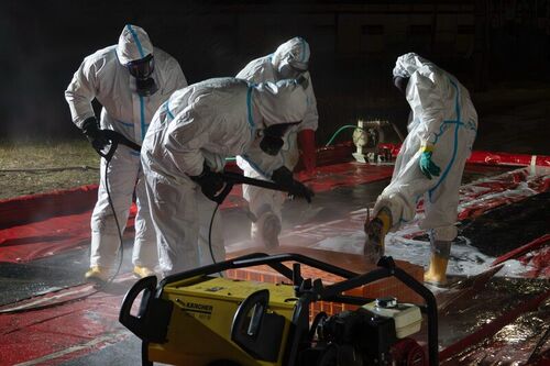 WhatsApp Image_2024-02-08_at_10.31.09