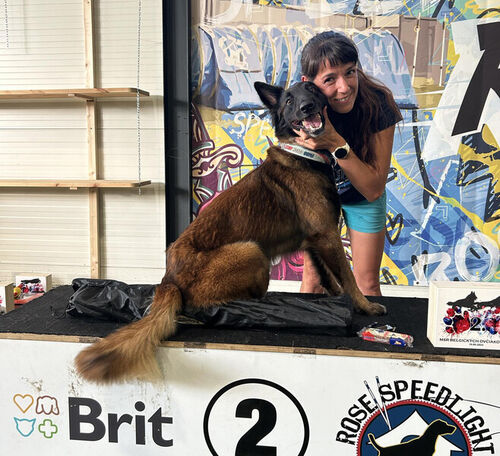 fda29a5f-5138-47d1-8e76-298f3ec6033a