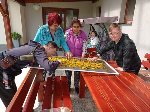 Foto Klienti_Domova_Kamélie_Křižanov_zvou_na_Den_otevřených_dveří_2