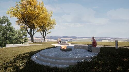 viz 04-25900-800-600-80