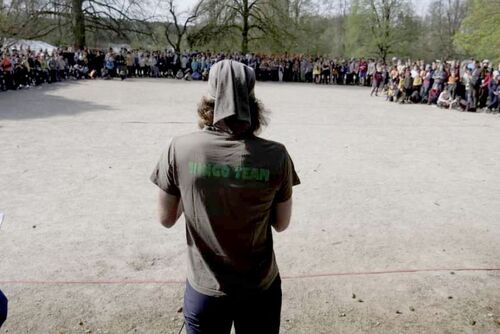 Ringo 04-31153-800-600-80