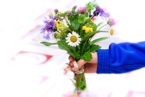 spring-flowers-5170645