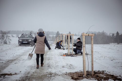 Vysadba-aleje-k-760.vyroci-obce-2