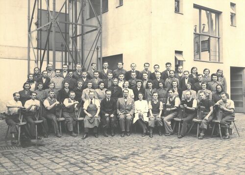 F 245.3_Zaměstnanci_JAS