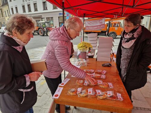 558362430 1225972306224825_2884703317267246478_n