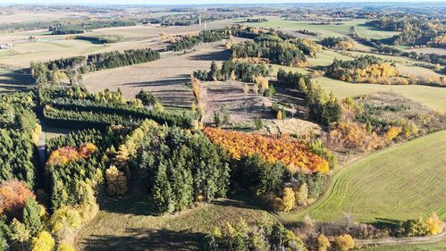 DJI 20251029214129_0064_D