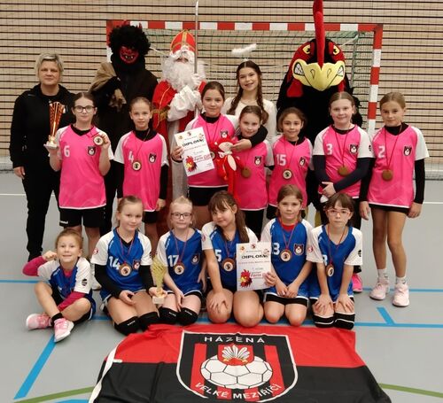 Zlato a_bronz_pro_VM_společná