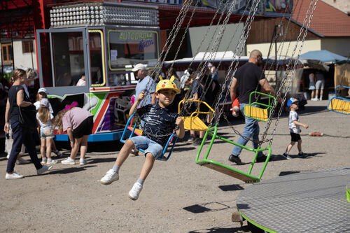 IMG 8587