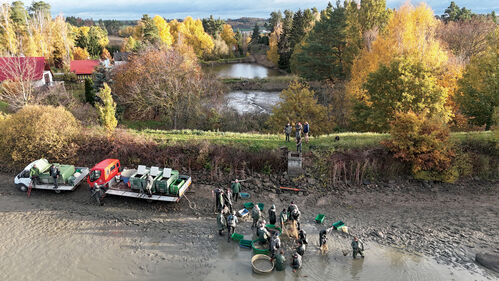 DJI 20251028144630_0434_D_rgb