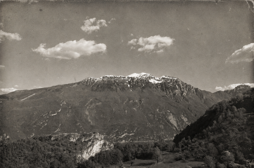 Monte