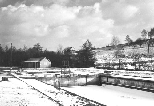 Poslední odstavec_-_Koupaliště_Palouky_1962