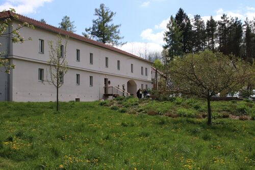 IMG 3231-35584-1500-1125-80