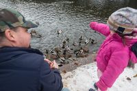 Krmení v_zimě_3_copy