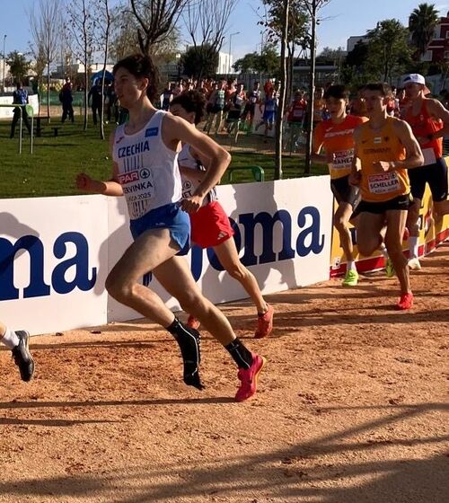 be22a7b1-e7ec-4bbe-9197-e6b681b1861e