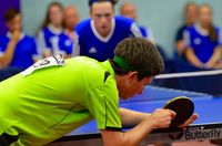 table-tennis-2565145 960_720